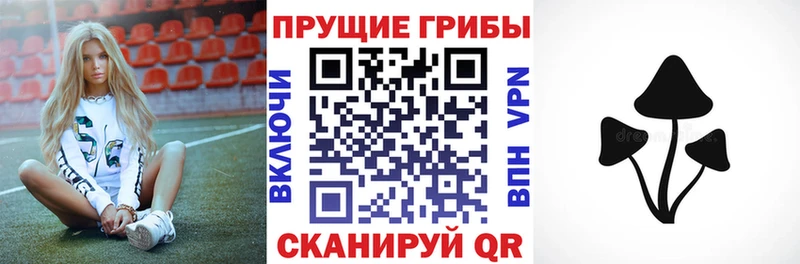 Псилоцибиновые грибы GOLDEN TEACHER  Купить  Каменск-Шахтинский 